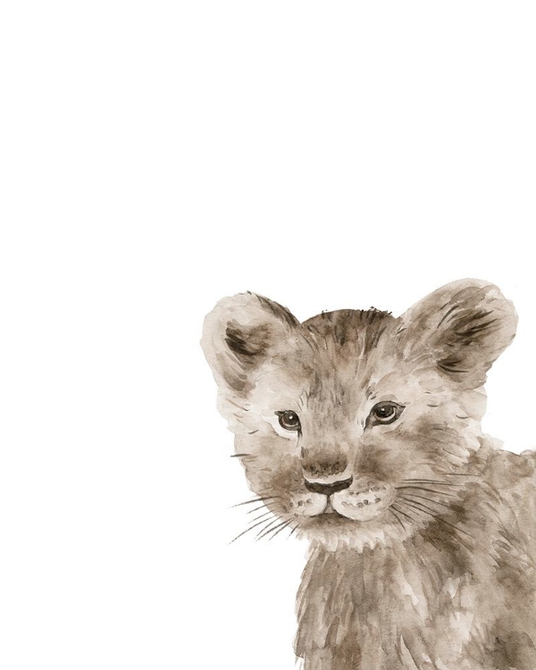 Picture of SAFARI ANIMAL PORTRAITS I