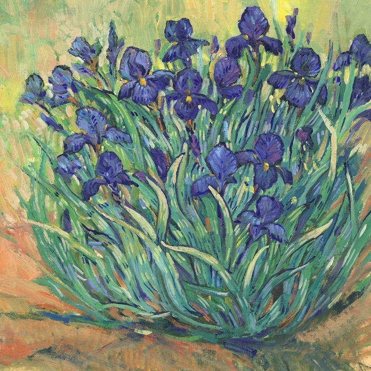 Picture of IRISES IN BLOOM I