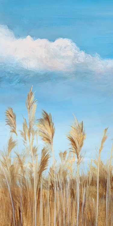 Picture of PAMPAS I 