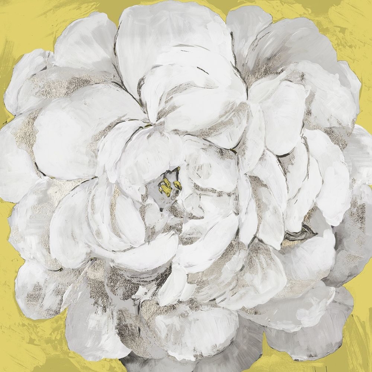 Picture of WHITE PEONIA YELLOW VERSION