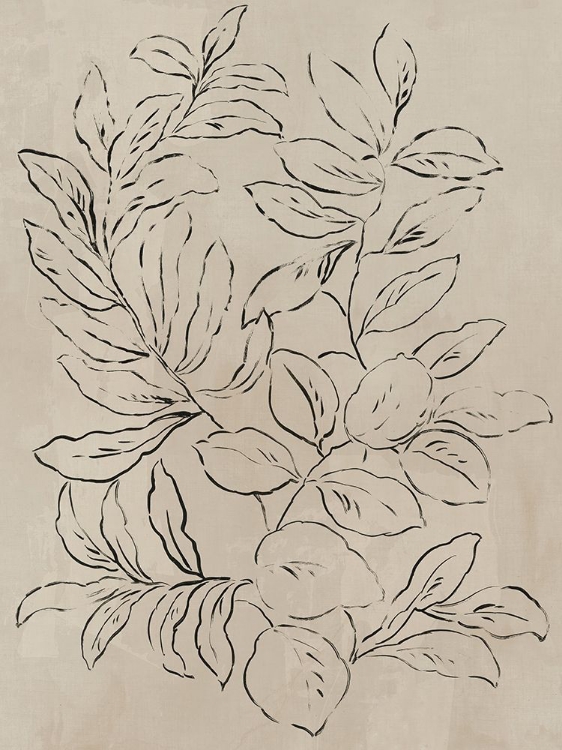 Picture of OUTLINED LEAVES I 