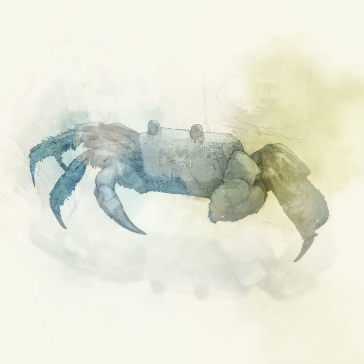 Picture of INDIGO CRAB II 