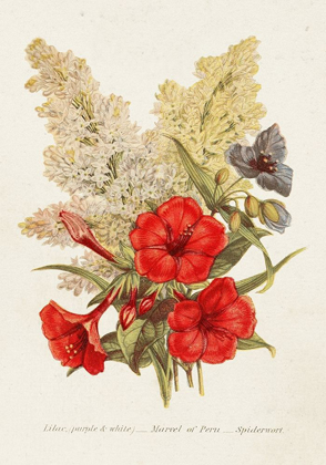 Picture of ANTIQUE FLORAL BOUQUET V