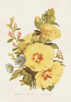 Picture of ANTIQUE FLORAL BOUQUET VI