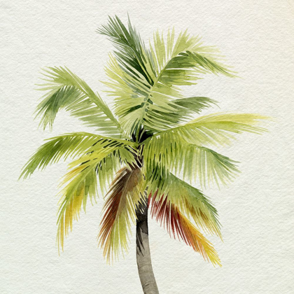 Picture of COCO WATERCOLOR PALM I