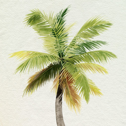 Picture of COCO WATERCOLOR PALM II