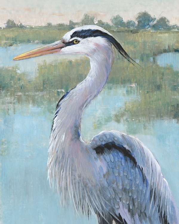 Picture of BLUE HERON PORTRAIT I