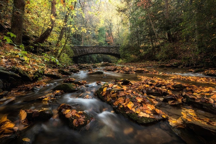 Picture of STONE BRIDGE