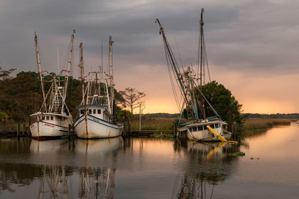 Picture of TRAWLERS