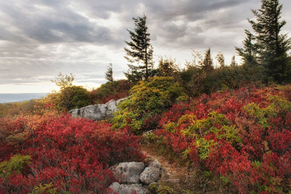 Picture of HIGHLAND TRAIL