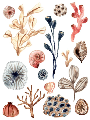 Picture of OCEAN ASSORTMENT I