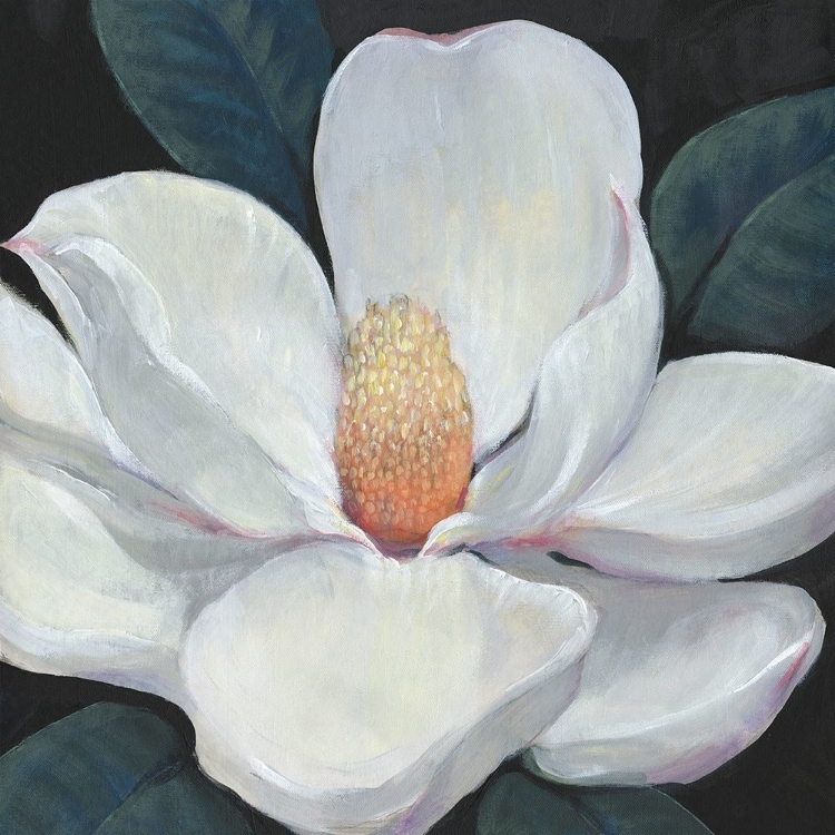 Picture of BLOOMING MAGNOLIA I