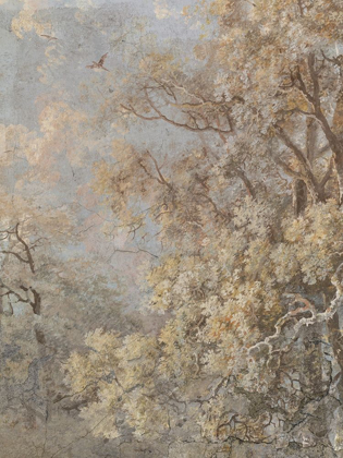 Picture of FOREST FRESCO II