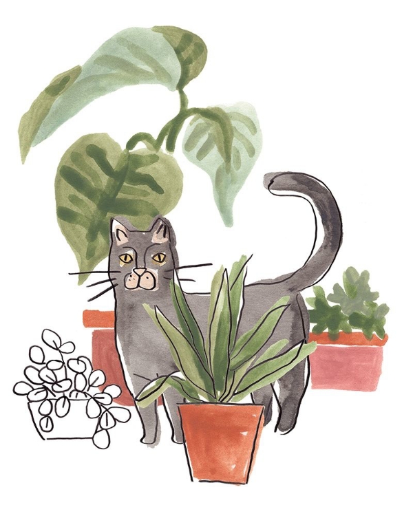 Picture of PURRFECT PLANTS I