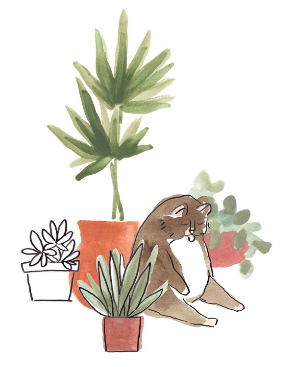 Picture of PURRFECT PLANTS II