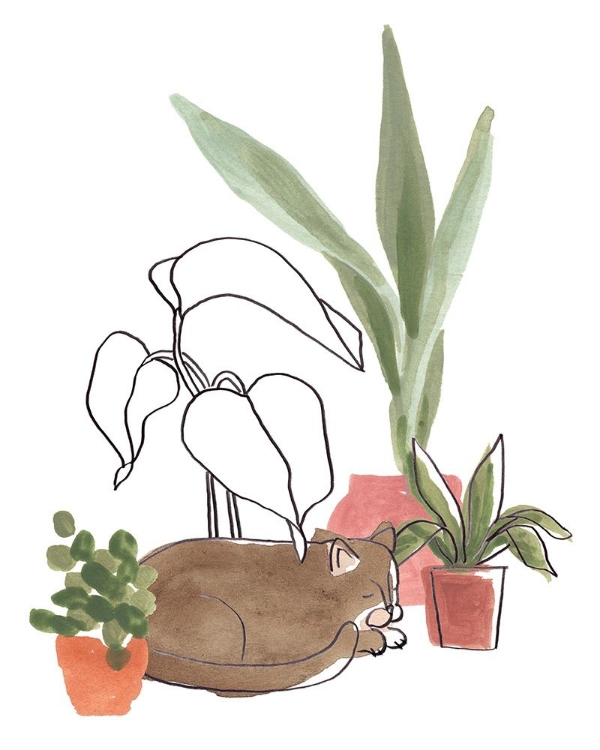 Picture of PURRFECT PLANTS III