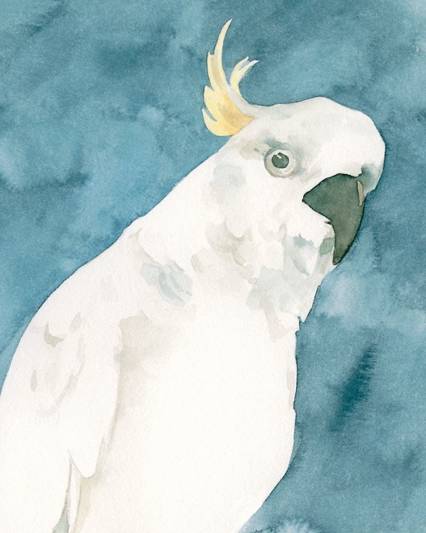 Picture of COCKATOO PORTRAIT I