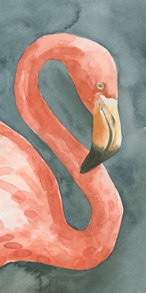 Picture of FLAMINGO STUDY I