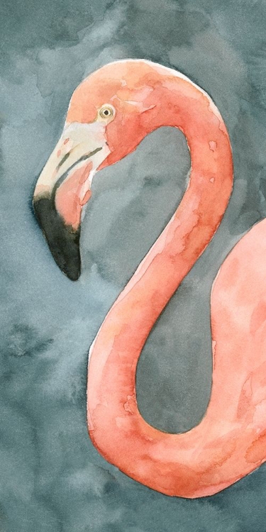 Picture of FLAMINGO STUDY II