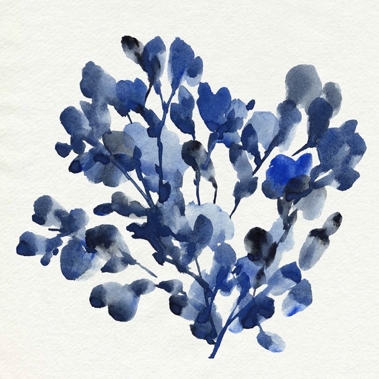 Picture of COBALT BLOSSOM II