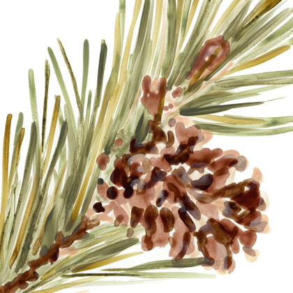 Picture of SIMPLE PINE CONE I