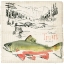 Picture of TROUT JOURNAL II