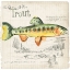 Picture of TROUT JOURNAL IV