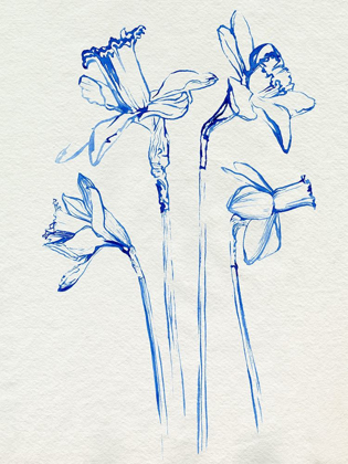 Picture of INKY DAFFODILS II