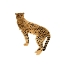 Picture of GOLDEN CHEETAH I