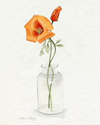 Picture of CALIFORNIA POPPY VASE I