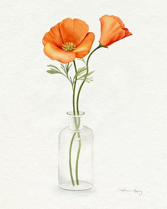 Picture of CALIFORNIA POPPY VASE II