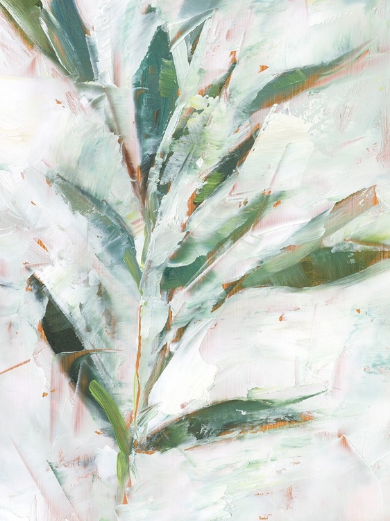 Picture of TROPICAL FOLIAGE STUDY I