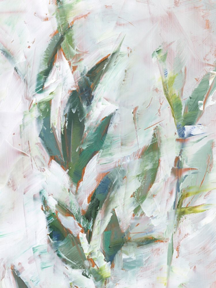 Picture of TROPICAL FOLIAGE STUDY II