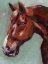 Picture of PAINT BY NUMBER HORSE I