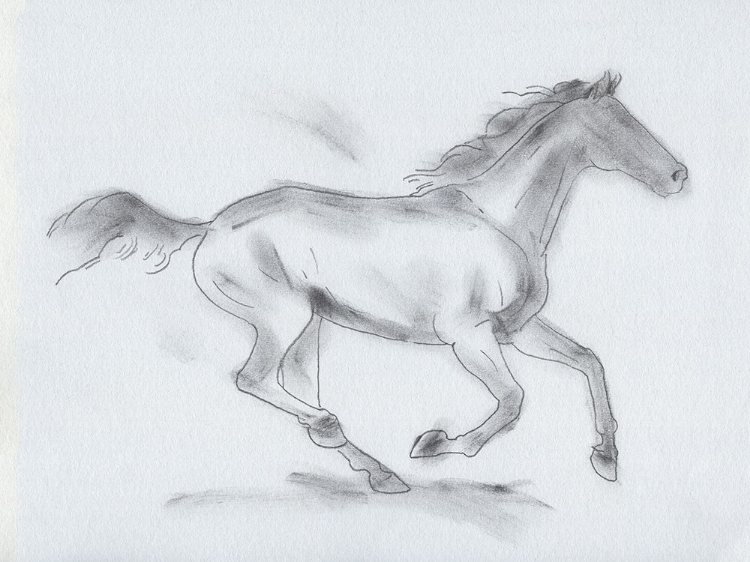 Picture of SMOKE STALLION I