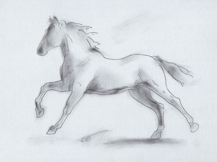 Picture of SMOKE STALLION II