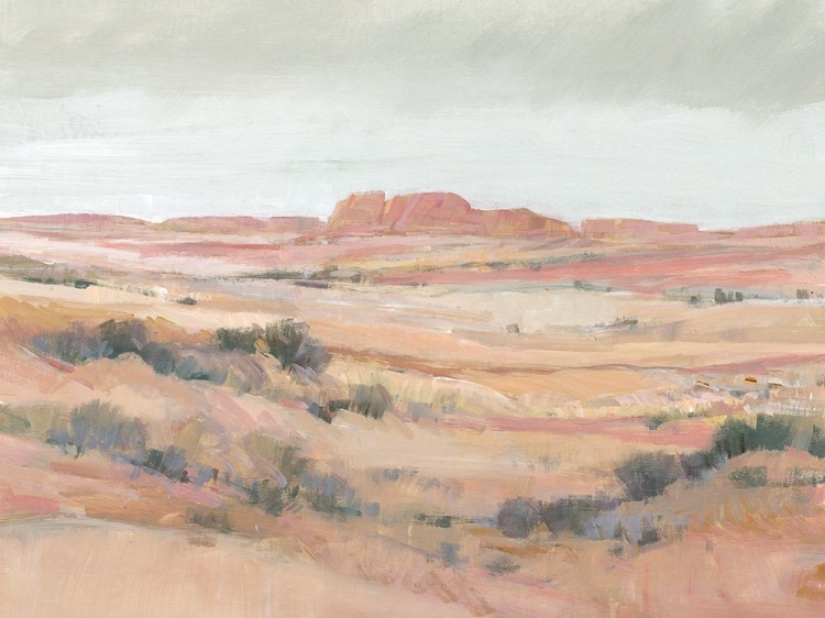 Picture of SOUTHWEST LANDSCAPE II