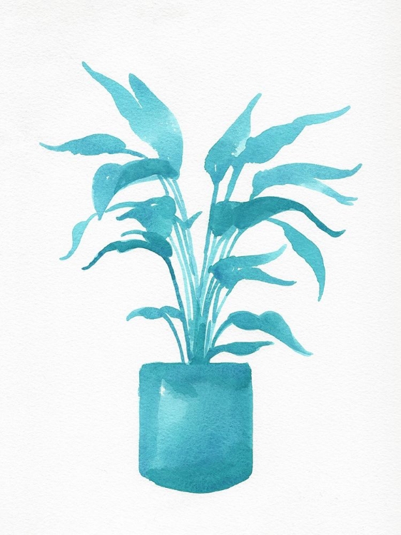 Picture of WATERCOLOR HOUSE PLANT IV