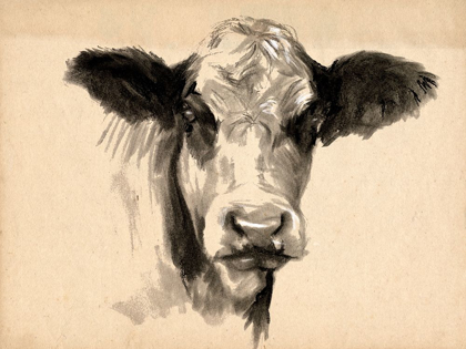 Picture of CHARCOAL COW II
