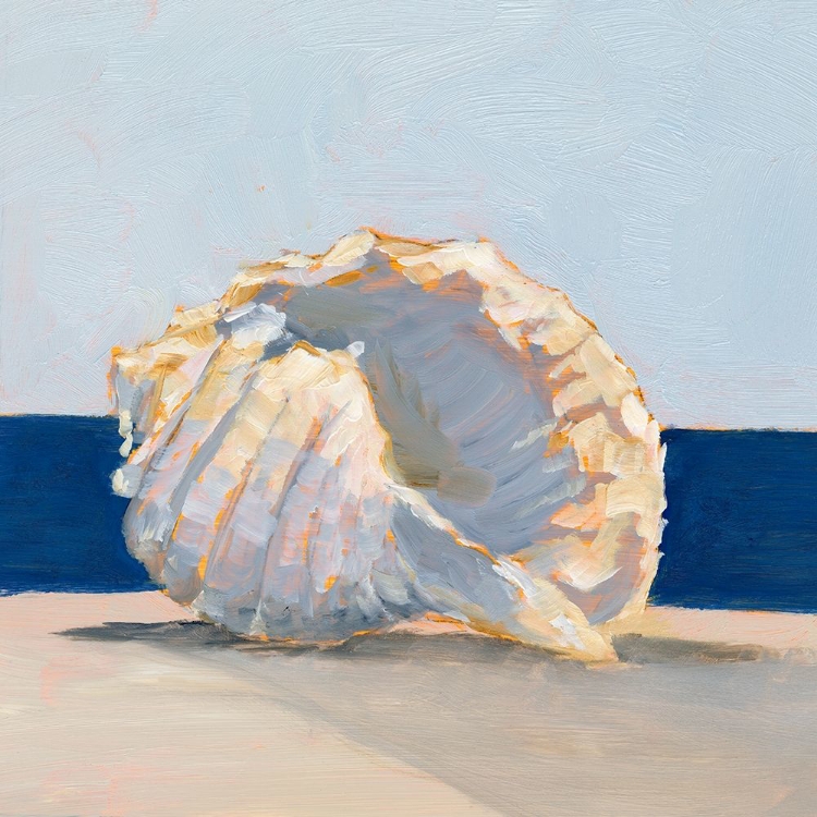 Picture of SHELL BY THE SHORE II