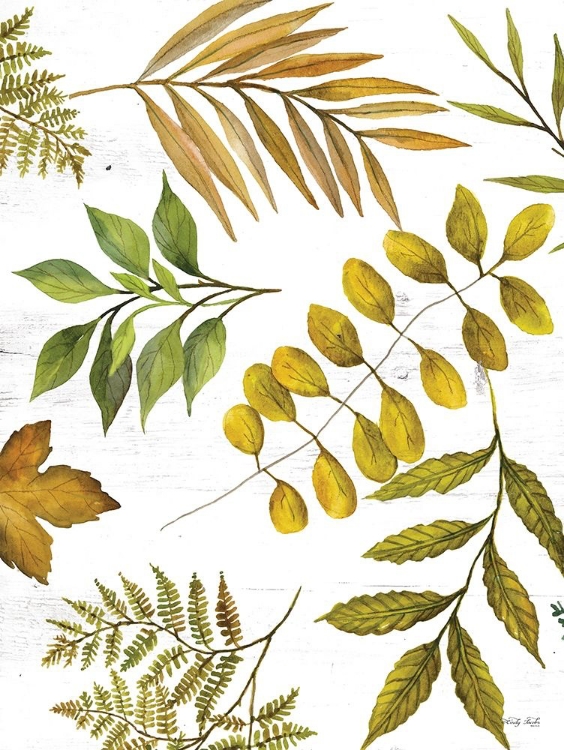 Picture of LEAF PATTERNS I