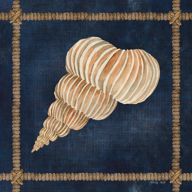 Picture of SEASHELL ON NAVY III