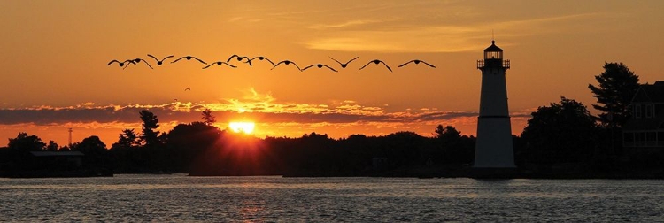 Picture of SUNSET FLIGHT