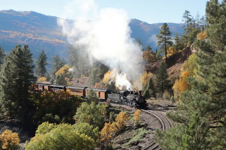 Picture of DURANGO SILVERTON TRAIN IV