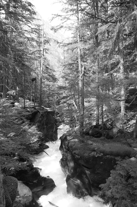 Picture of AVALANCHE TRAIL  