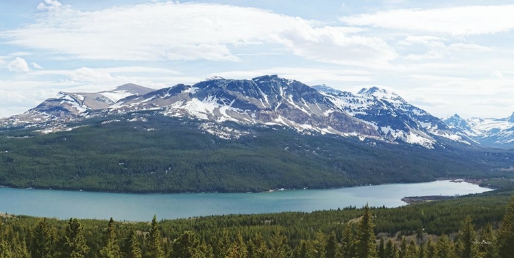 Picture of MEDICINE LAKE