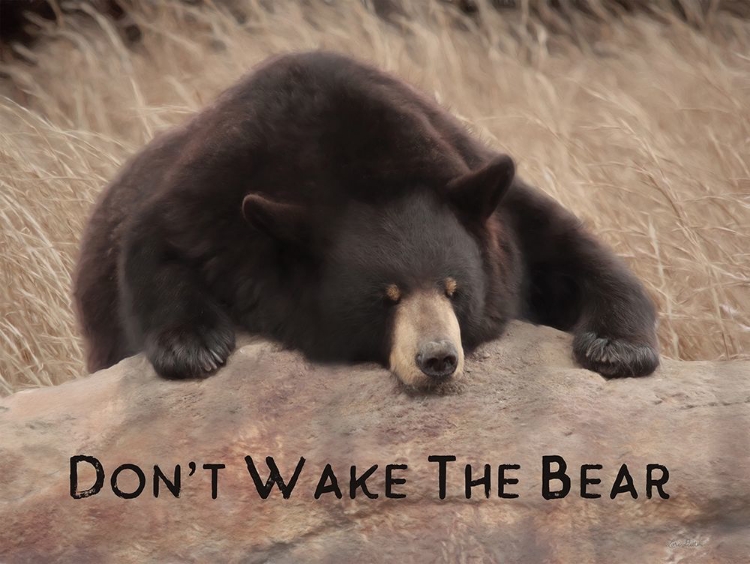 Picture of DONT WAKE THE BEAR