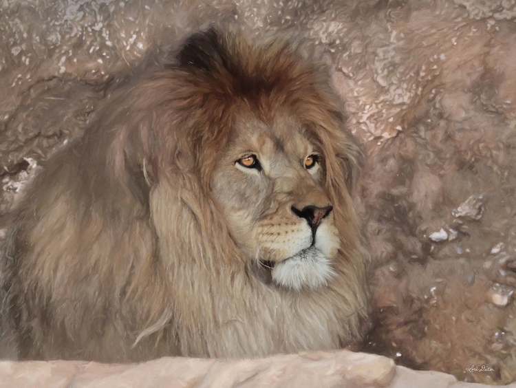 Picture of LEO THE LION