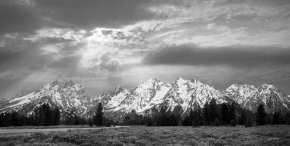 Picture of SUNLIGHT ON THE TETONS   