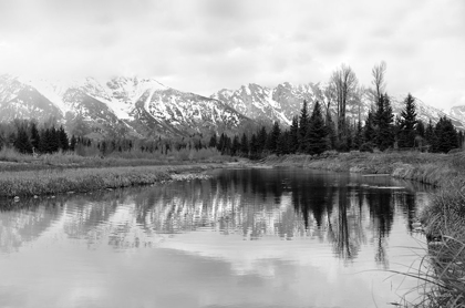 Picture of TETONS AT SCHWABACHERS LANDING  